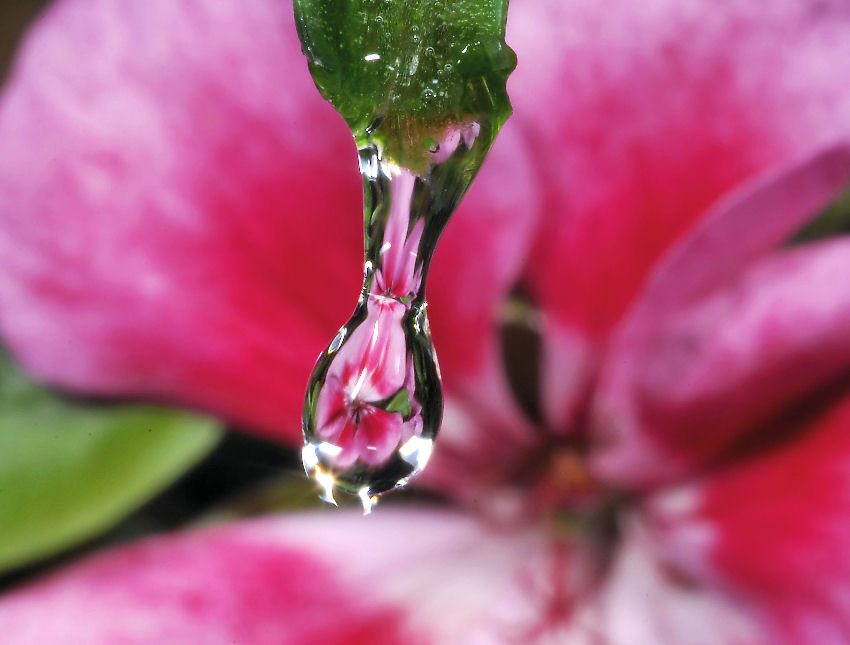 Sfocato......nitido?.....ambedue.....